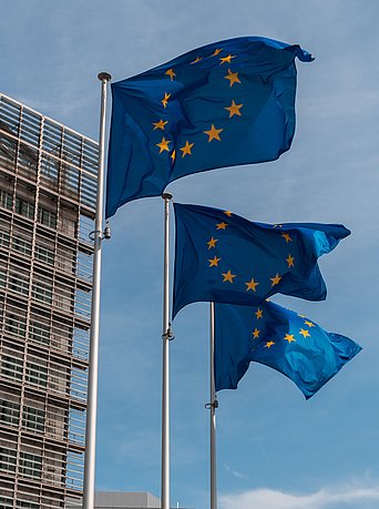 Gebäude vor dem drei Europaflaggen im Wind wehen.