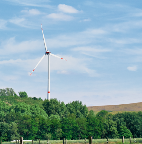 Green landscape with a wind turbine in the background. 