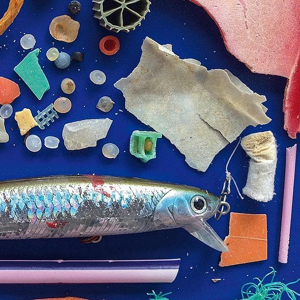 Bird's eye view: Small plastic objects and plastic waste such as a drinking straw, bottle cap, candy wrapper and a fish bait lie neatly collected on an area 